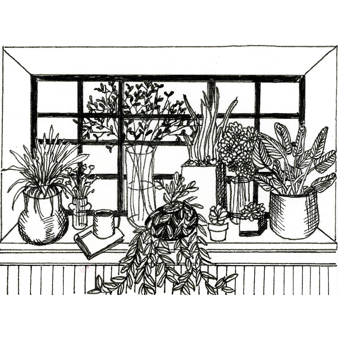 Where There's Light-kaartjie: San-Mari se venster